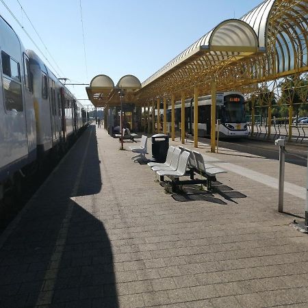 Vakantie Aan Zee De Panne Esterno foto